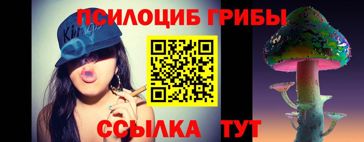 Псилоцибиновые грибы Psilocybe  магазин    Котлас  Псилоцибиновые грибы MAGIC MUSHROOMS  Вход с VPN 